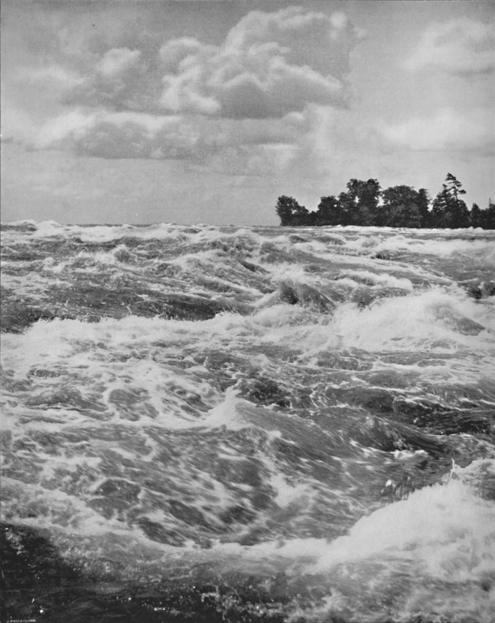 Amerikan Düşüşünün Üstündeki Rapids, 19. yüzyıl by Unbekannt