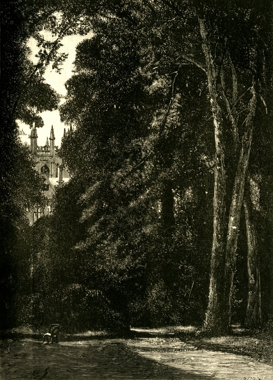 Merton Kulesi, Bahçeden, 1898. by Unbekannt
