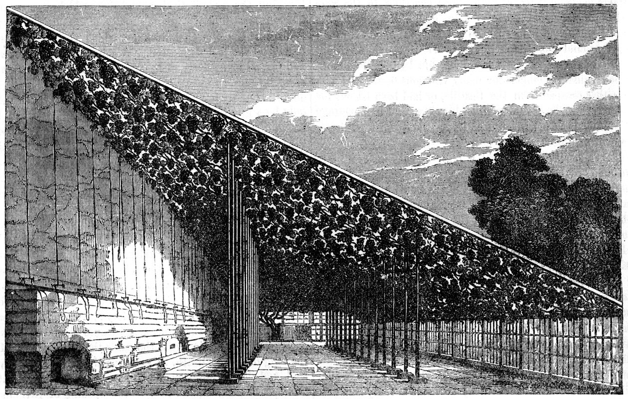 Hampton Court