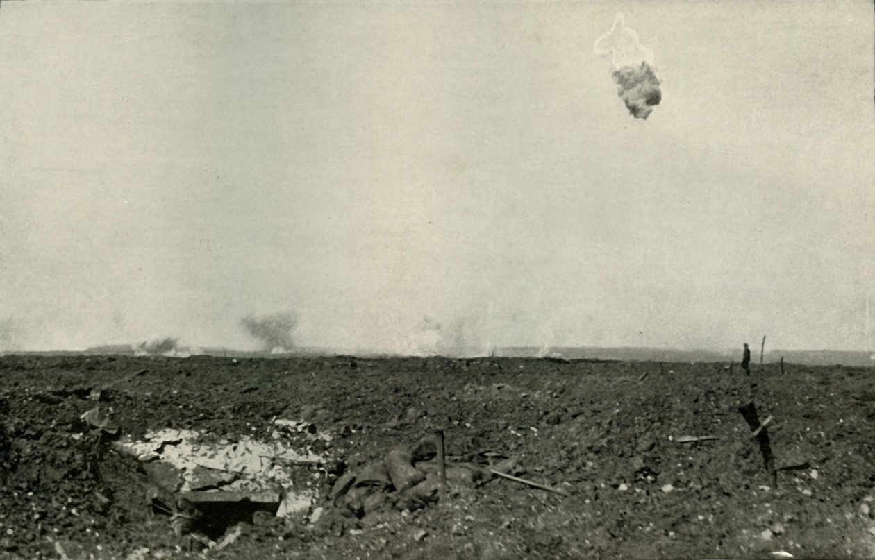 Yünlü Ayı., 1919. by Unbekannt