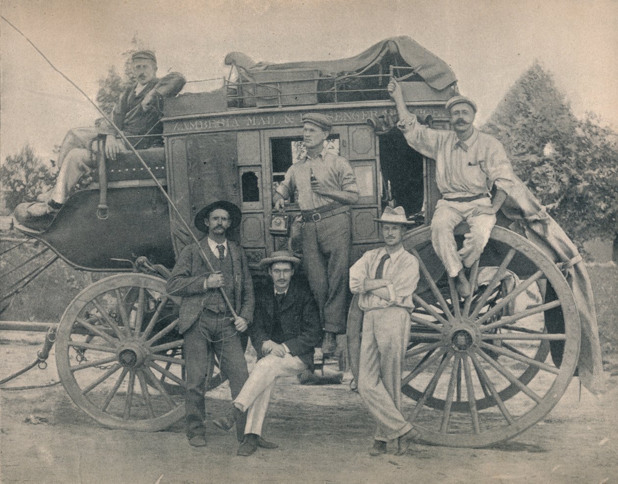 Zambesi Koçu, c1900. by Unbekannt