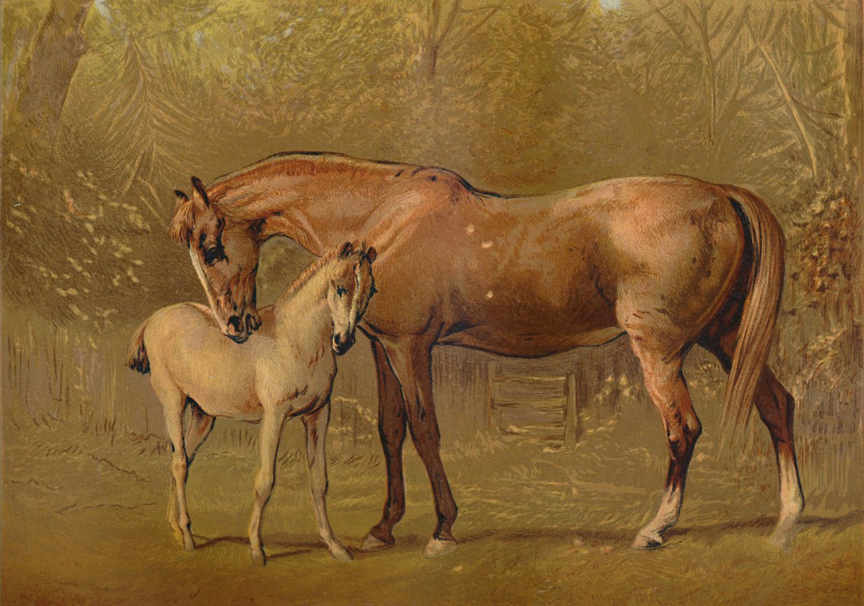 Safkan Kısrak ve Tay, c1879. by Unbekannt