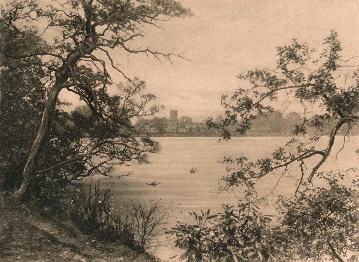 Trentham Salonu, 1902 by Unbekannt