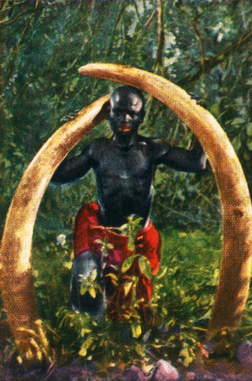 Afrika filinin dişleri, c1928. by Unbekannt