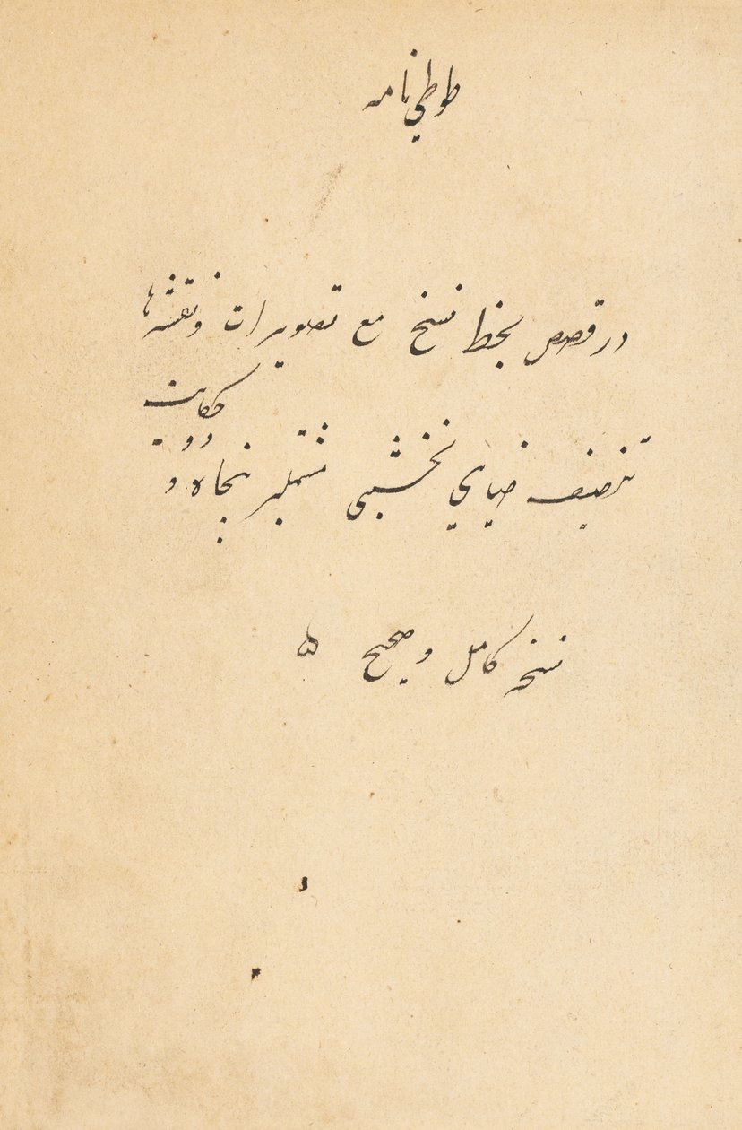 Bir Papağanın Tuti-Nama Masalları, c. 1560. by Unbekannt