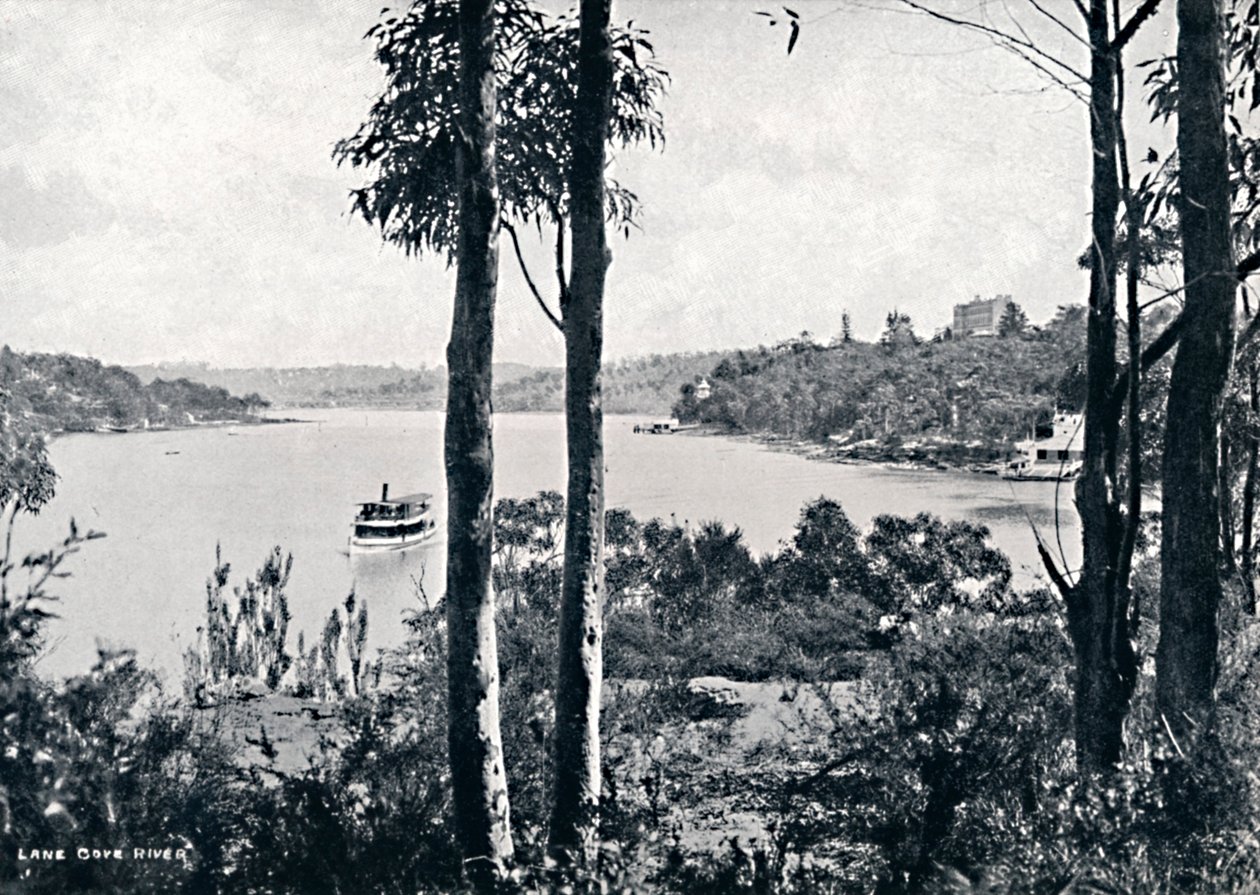 Lane Cove Nehri üzerinde görünüm, c1900. by Unbekannt