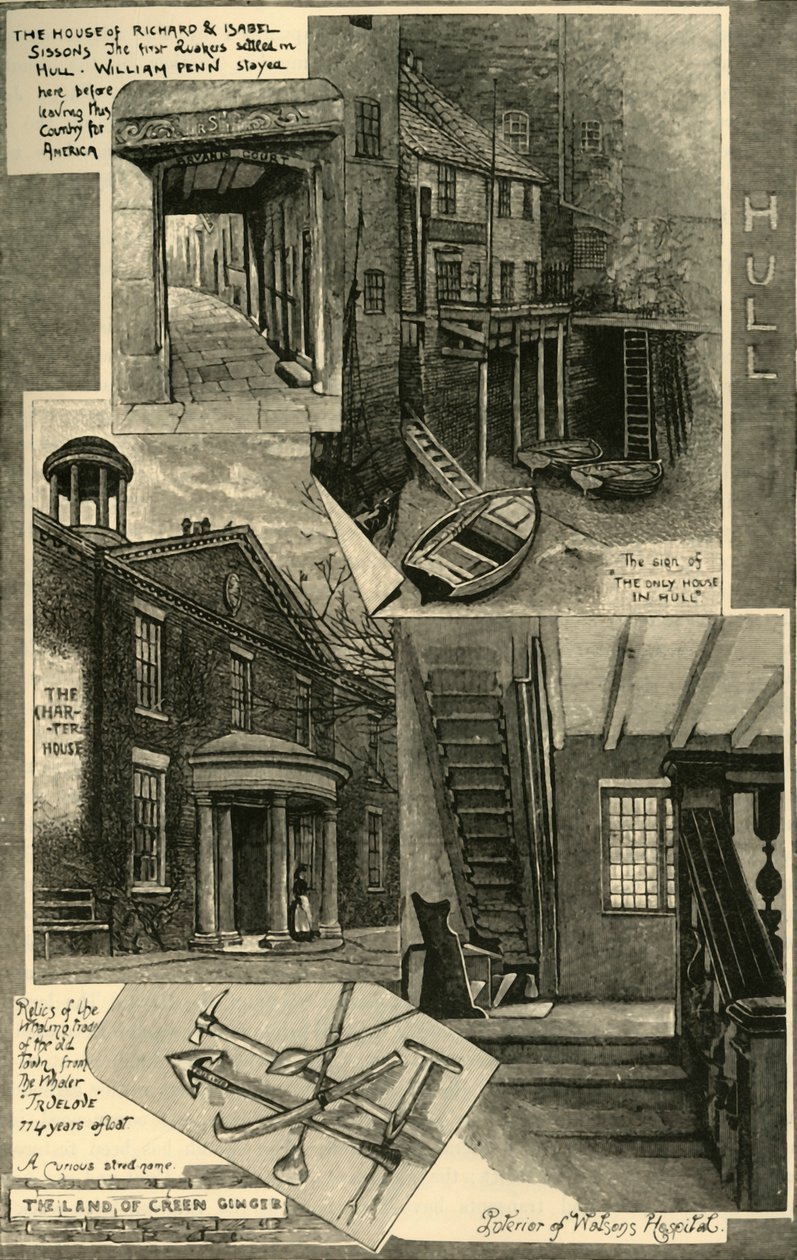 Hull