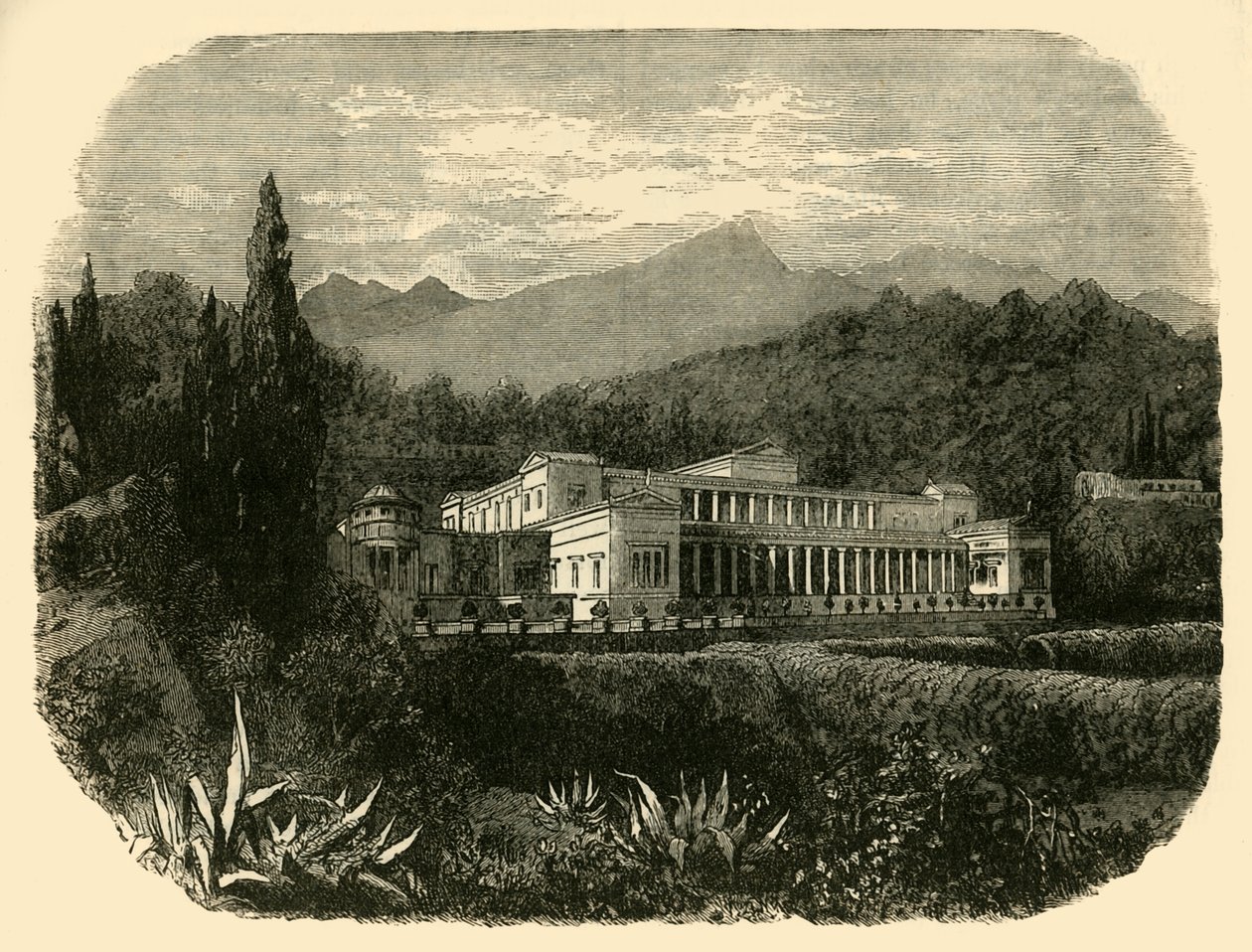 Genç Pliny