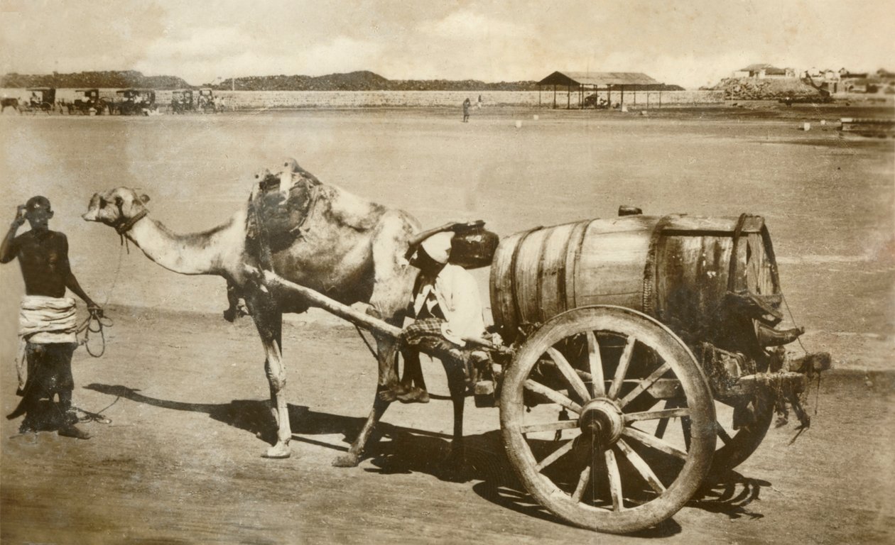 Su Arabası, Aden, c1918-c1939. by Unbekannt