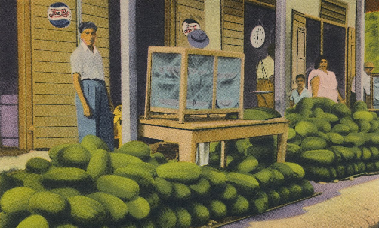 Satılık Karpuzlar, Trinidad, B.W.I., c1940s. by Unbekannt