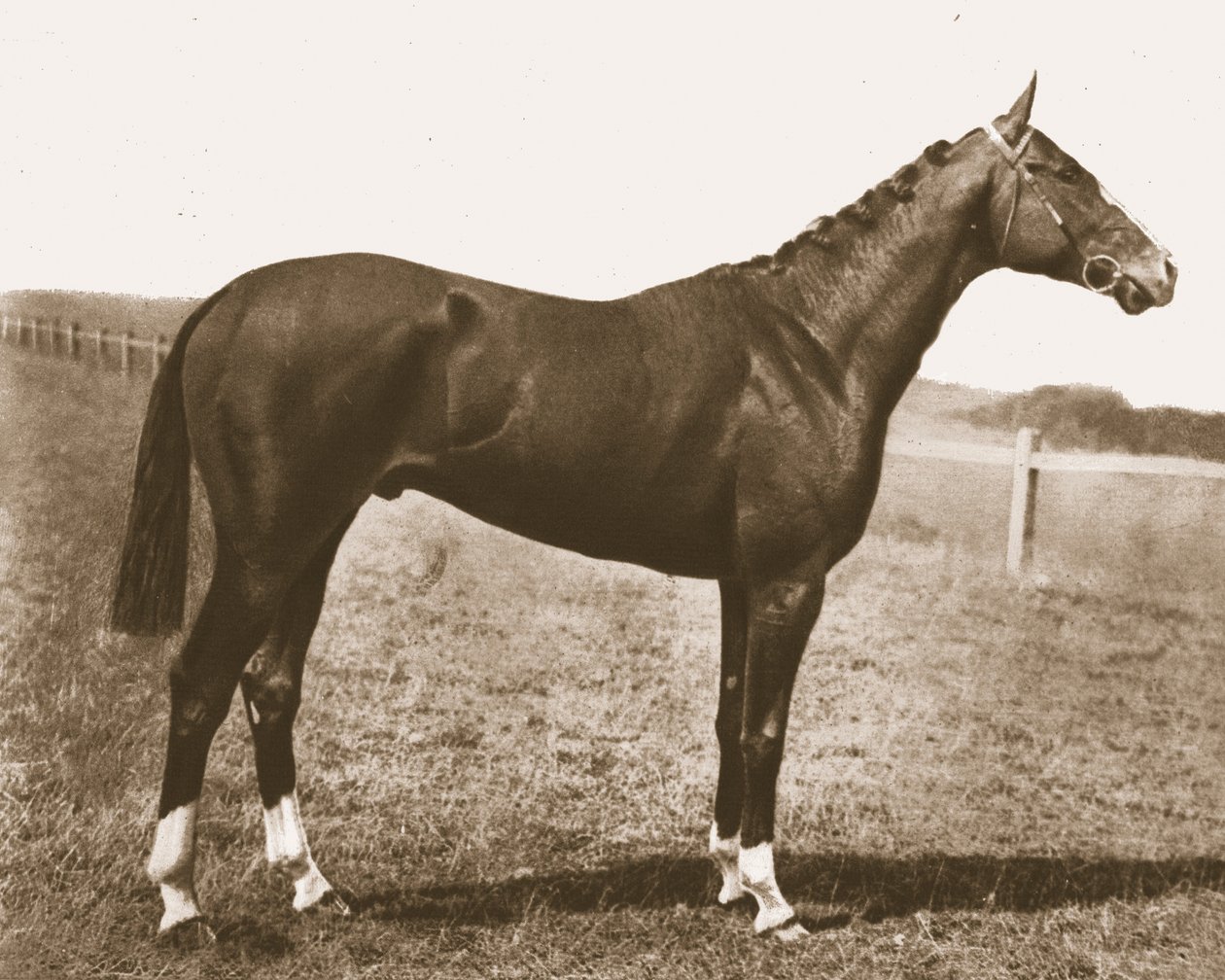 Rüzgar gülü, 1911. by Unbekannt