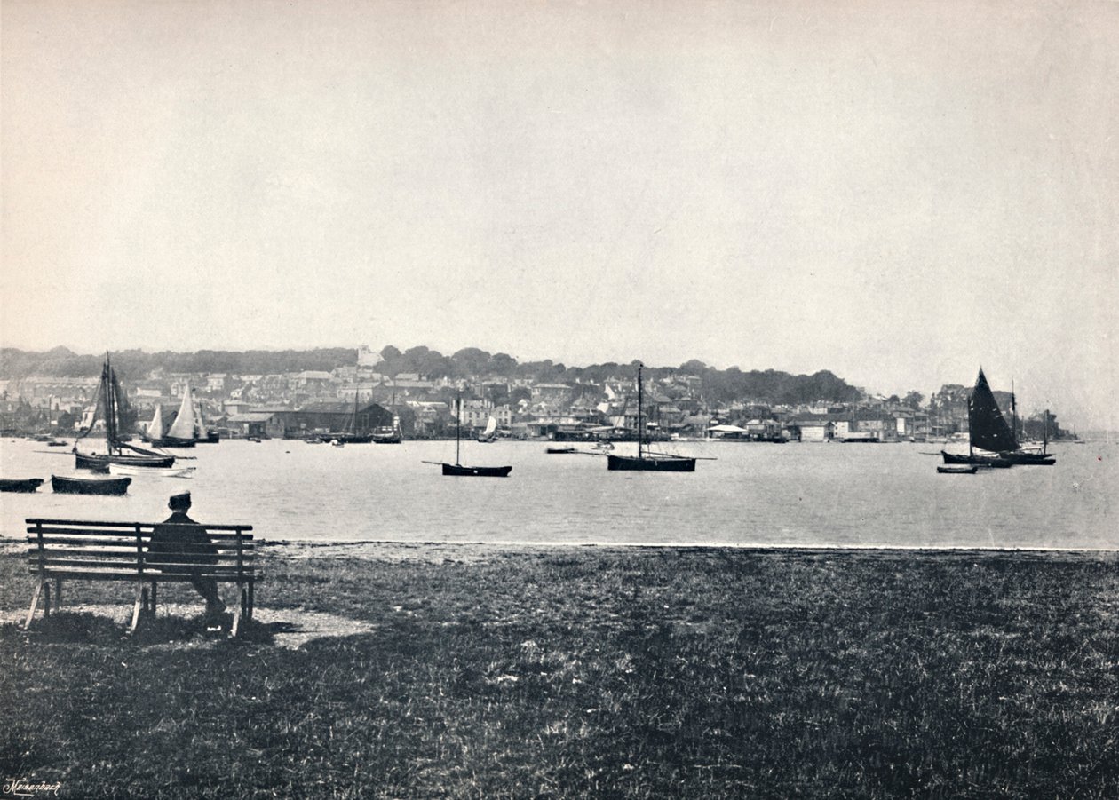 Batı İnekler - Doğu İneklerden Görünüm, 1895 by Unbekannt