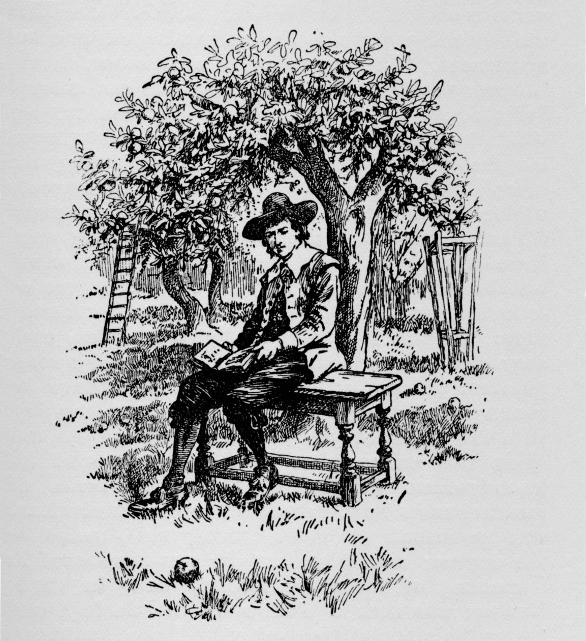 Bir elma neden düşer, c1918 by Unbekannt