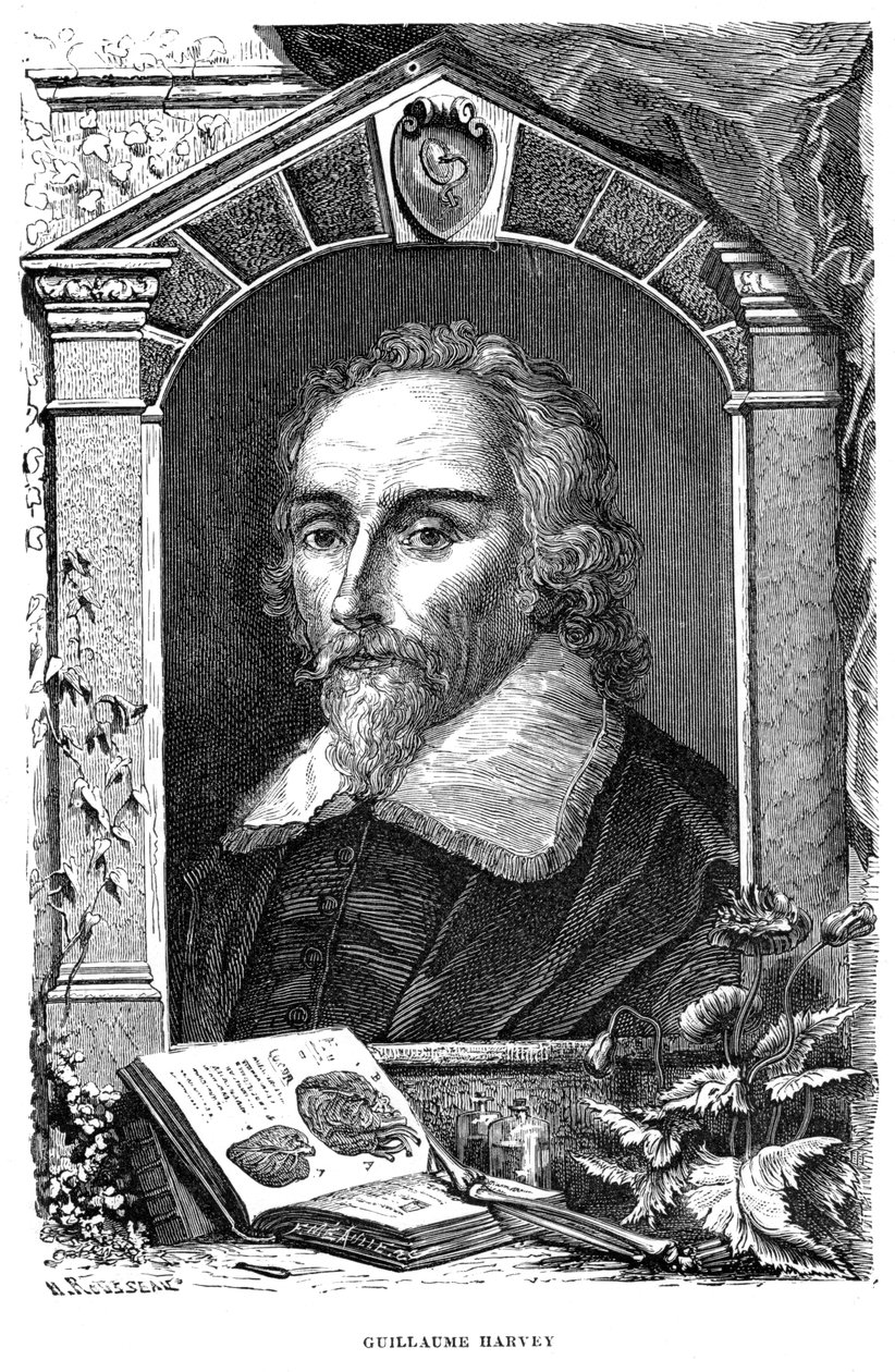 William Harvey 1578-1657 İngiliz doktor, c17. yüzyıl by Unbekannt