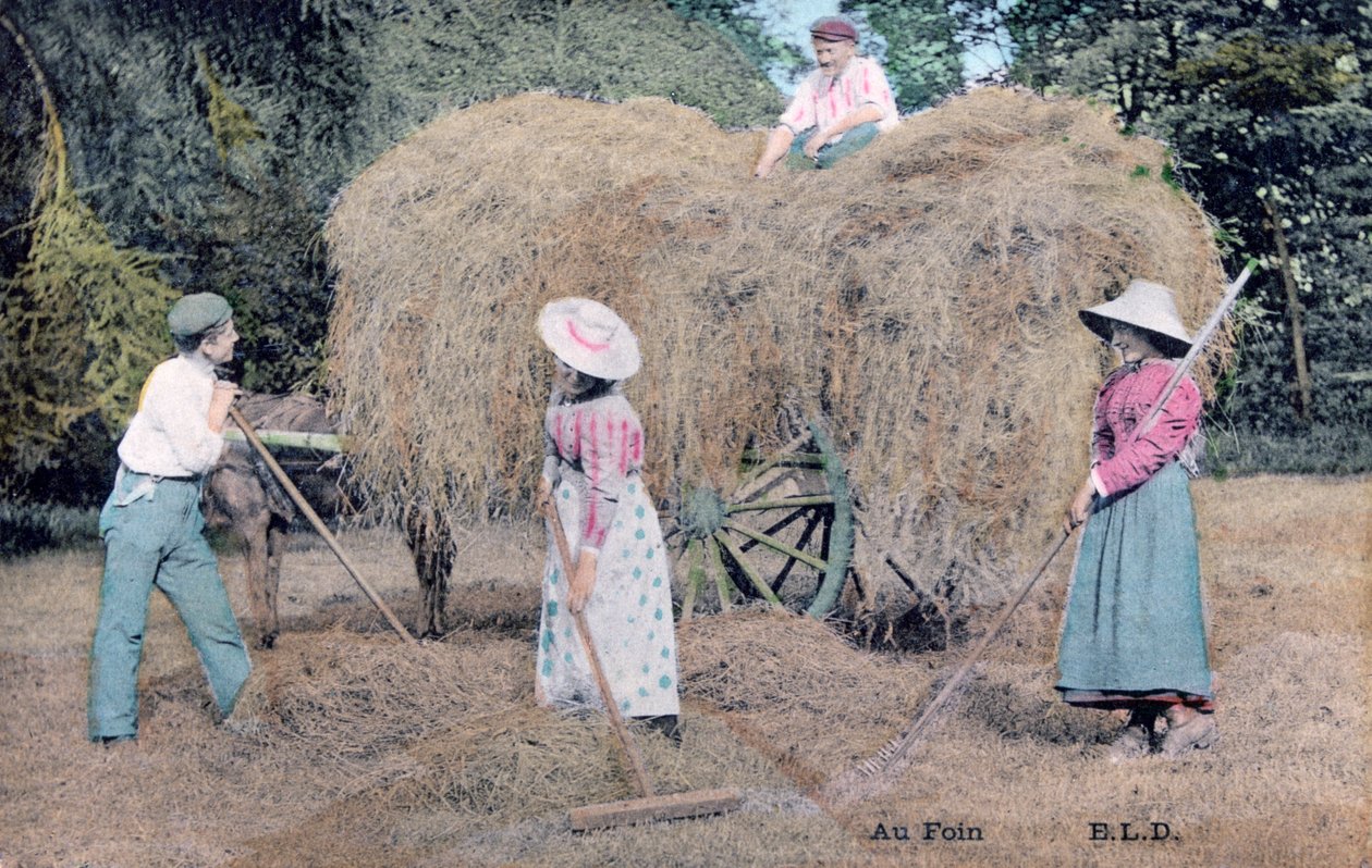 Saman ile, c1900 by Unbekannt