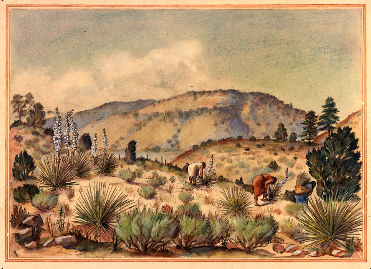 Yucca Bitkilerini Toplayan Kadınlar, 20. yüzyıl. by Unbekannt