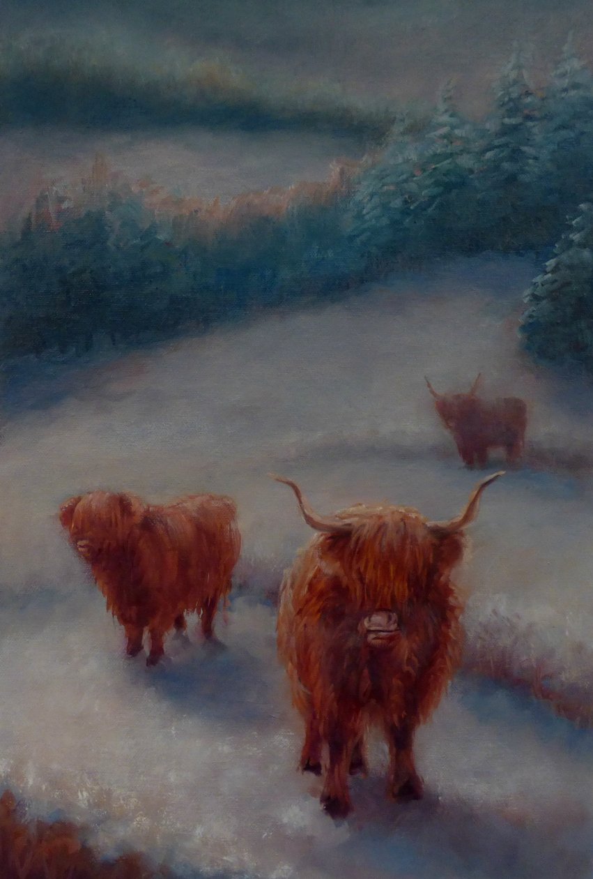 Yayla Sığırları, 2018, by Unbekannt Unbekannt