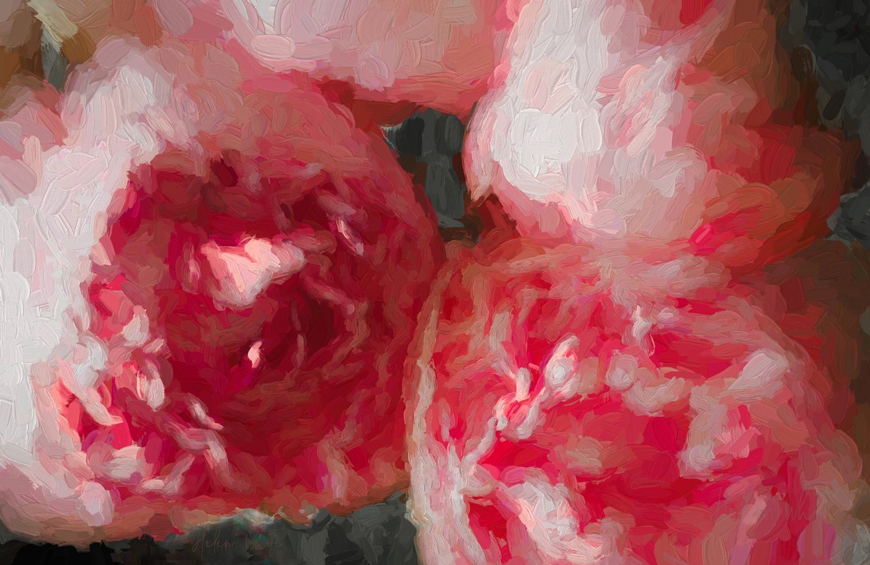Pembe Şakayık, 2018, by Unbekannt Unbekannt