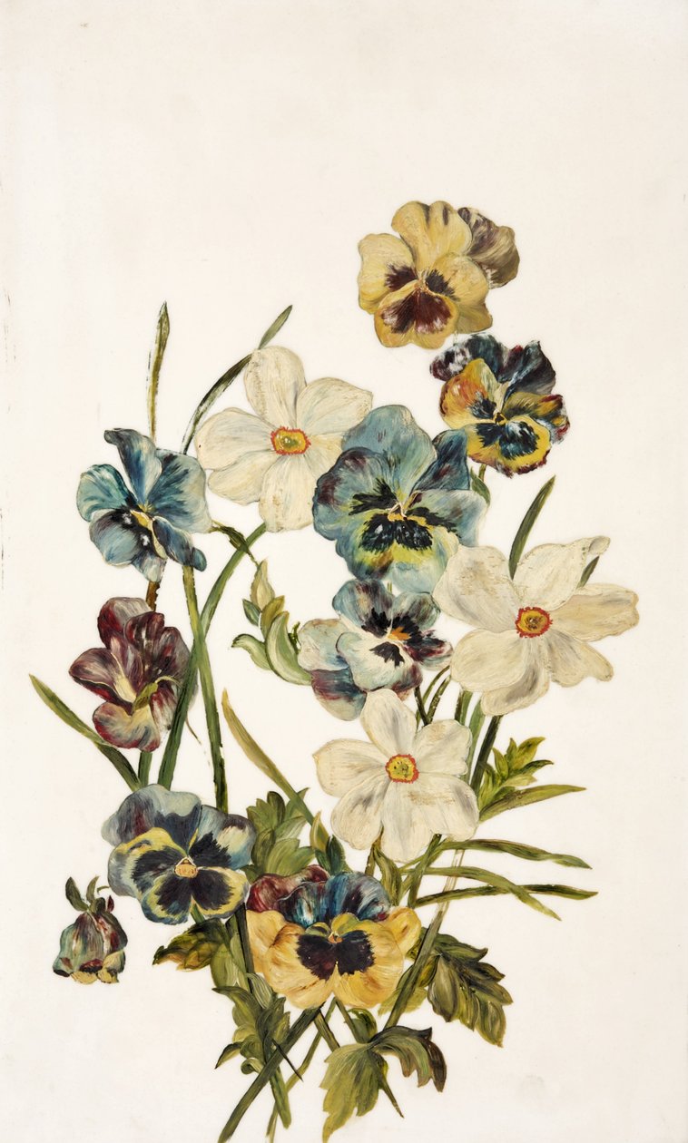 Natürmort, Hercai Menekşe ve Narcissi by Unbekannt Unbekannt