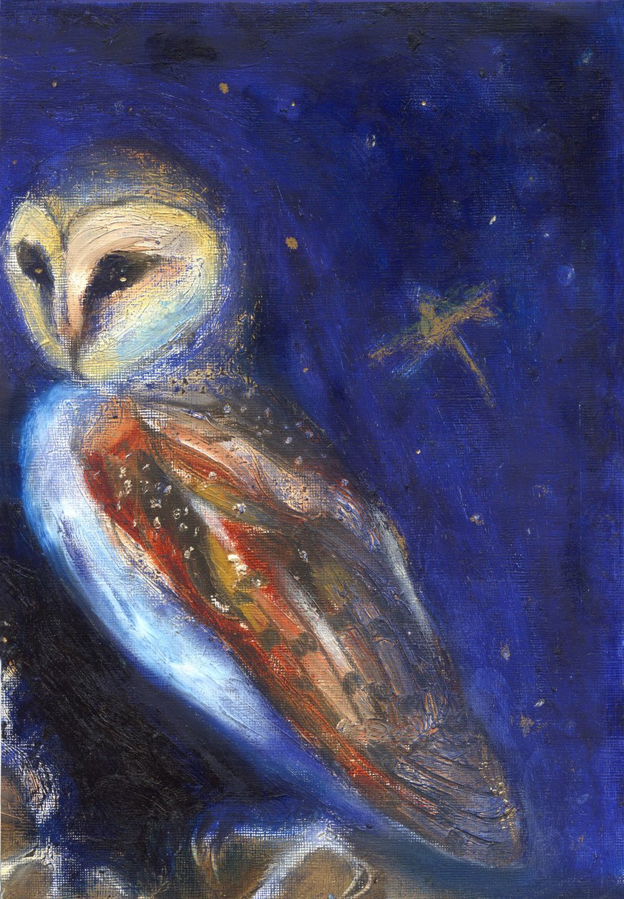 Baykuş ve Altın Yapraklı Yusufçuk, 2013, by Unbekannt Unbekannt