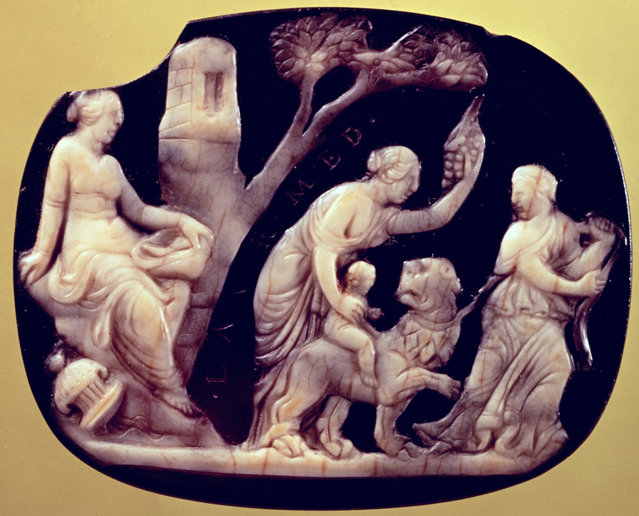 Dionysos