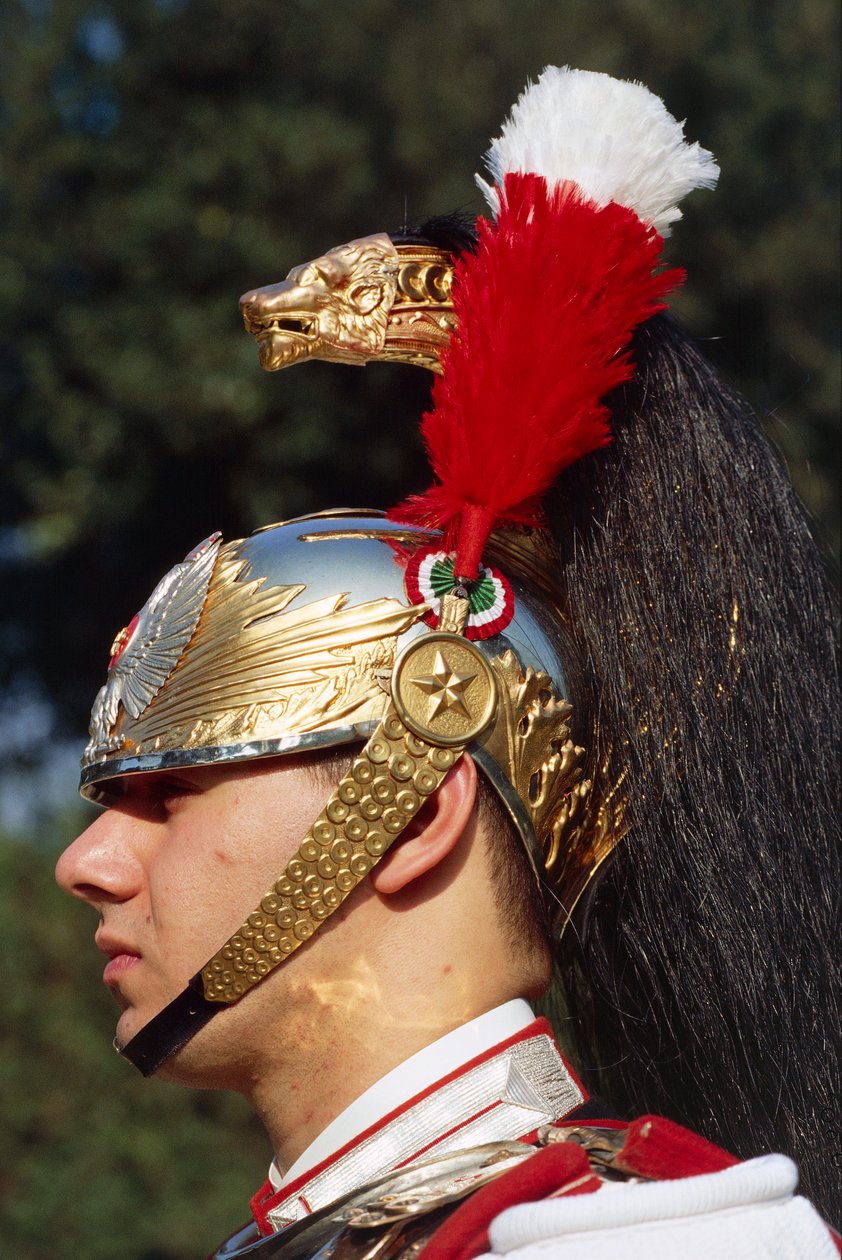 Kask takan cuirassier yakın çekim by Benjamin Baud