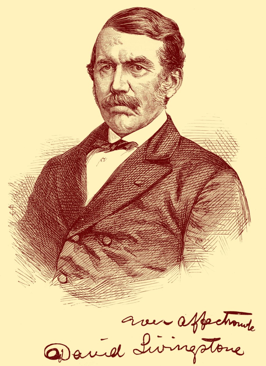 David Livingston by Unbekannter Künstler