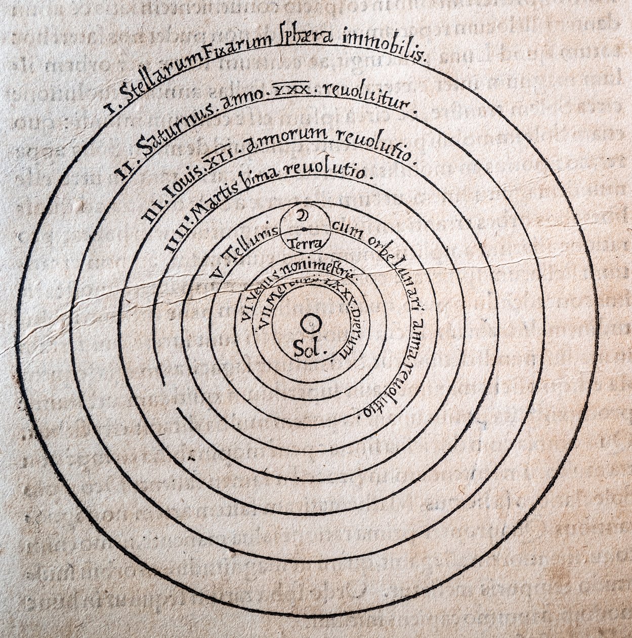 Nicolas Copernicus