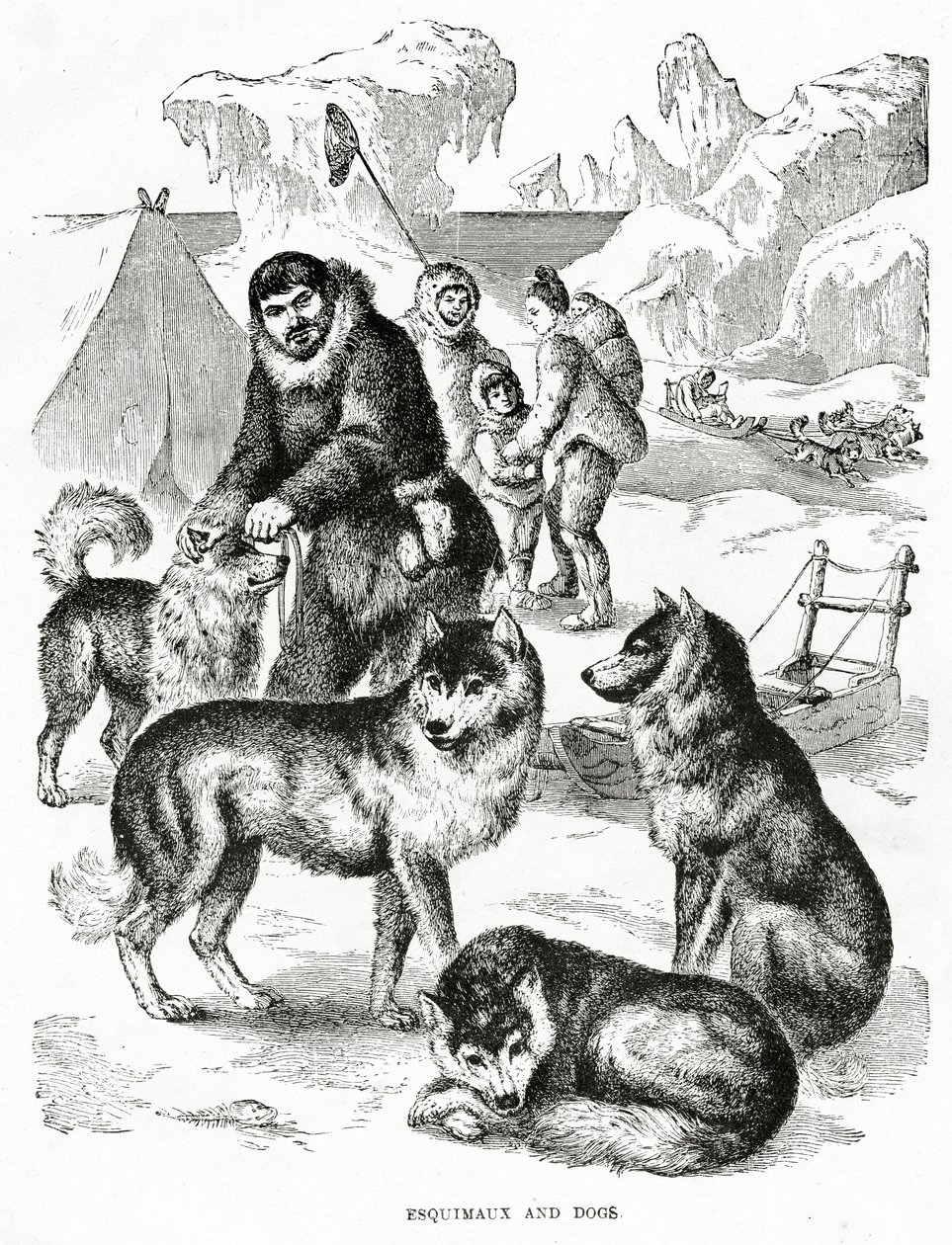Esquimaux ve Köpekler. 1902 (taş) by Unbekannt