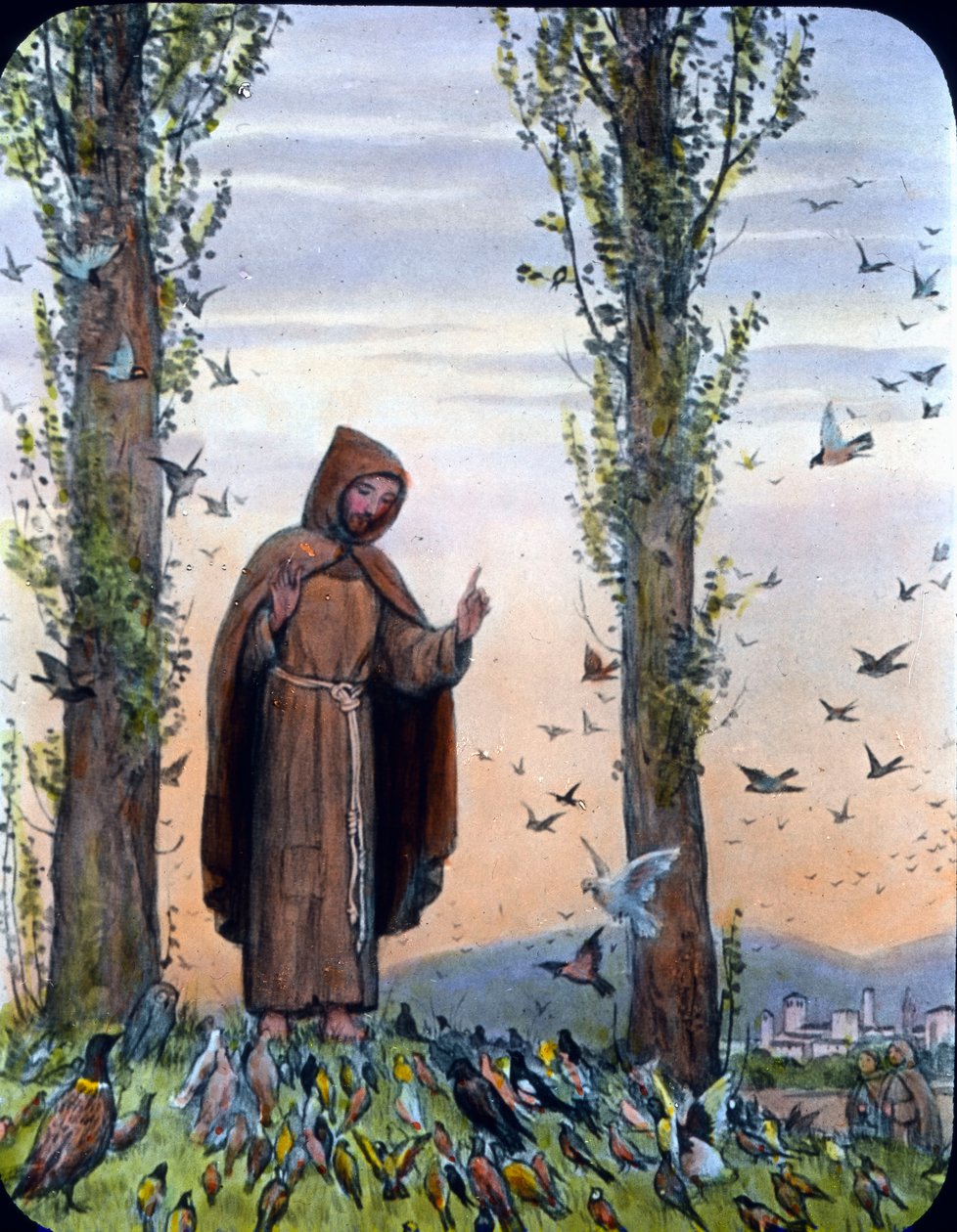 Francis by Unbekannter Künstler