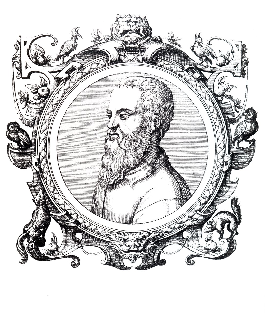 Guillaume Rondelet. by Unbekannt