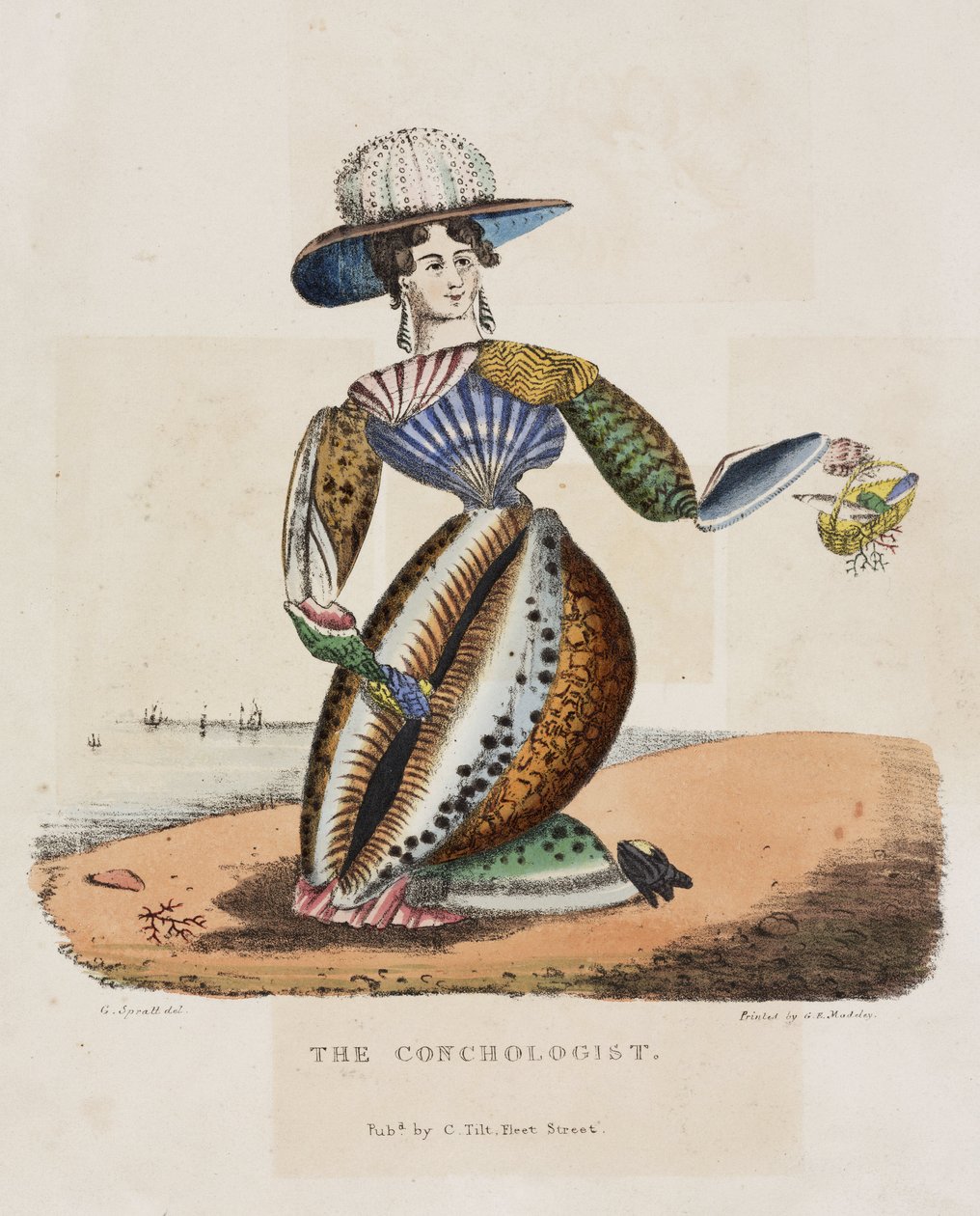 Conchologist, 1831 dolaylarında by Unbekannt