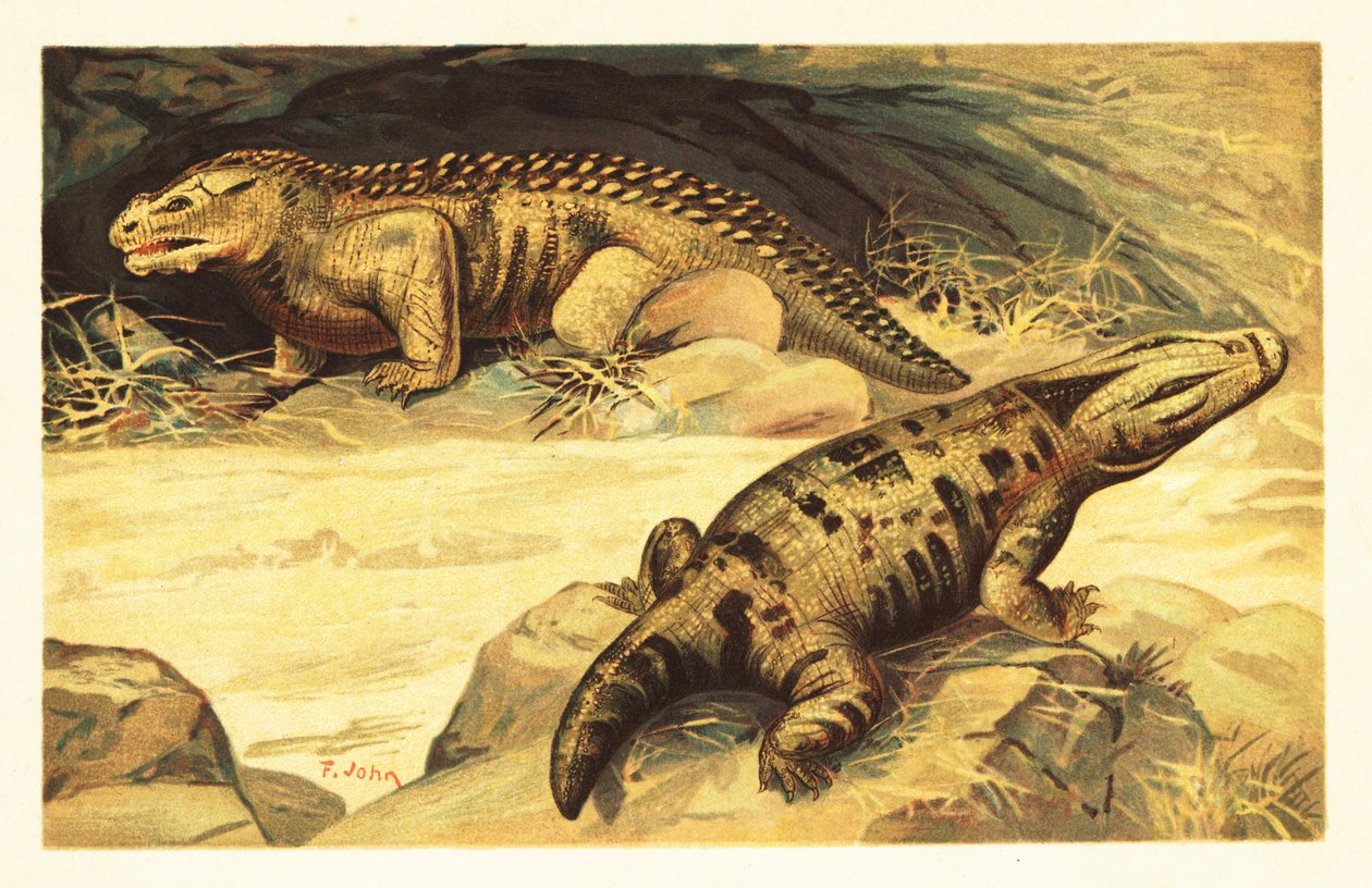 Mastodonsaurus ve Pareiasaurus.1908 (litografi) by Unbekannter Künstler