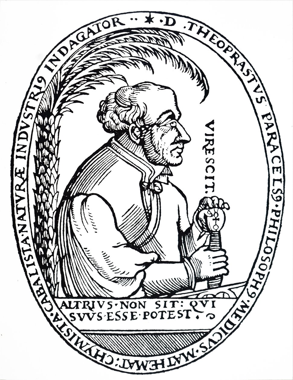 Paracelsus. by Unbekannt