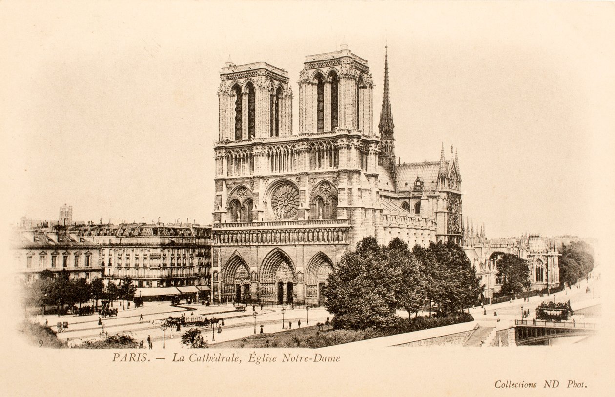 Kartpostal / Notre Dame / Paris / Seine / Ile de France / Fransa by William M. Timlin