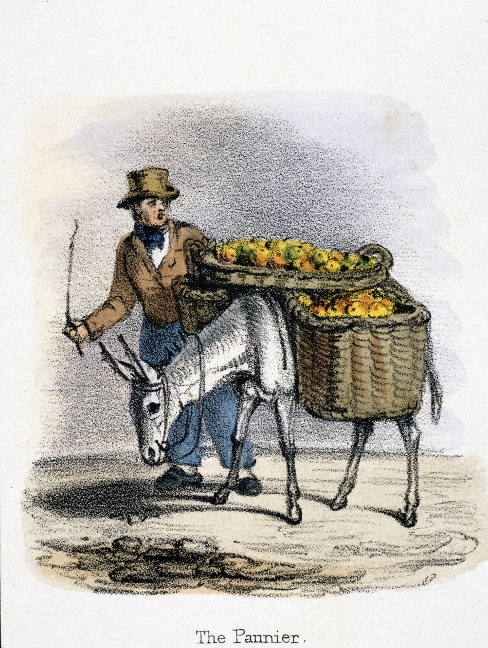 Pannier