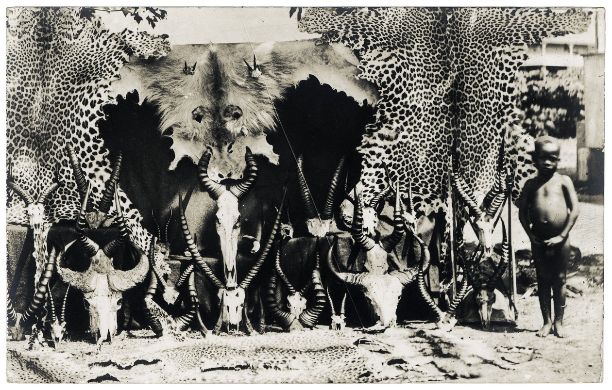 Kupalar, 1910 dolayları (s/b fotoğraf) by Unbekannter Künstler