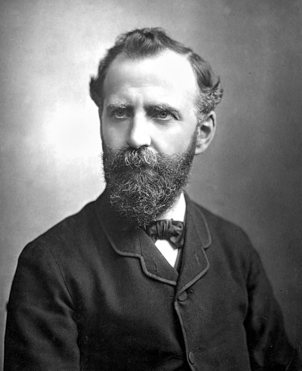 Birleşik Krallık : William Thomas Stead by Unbekannt