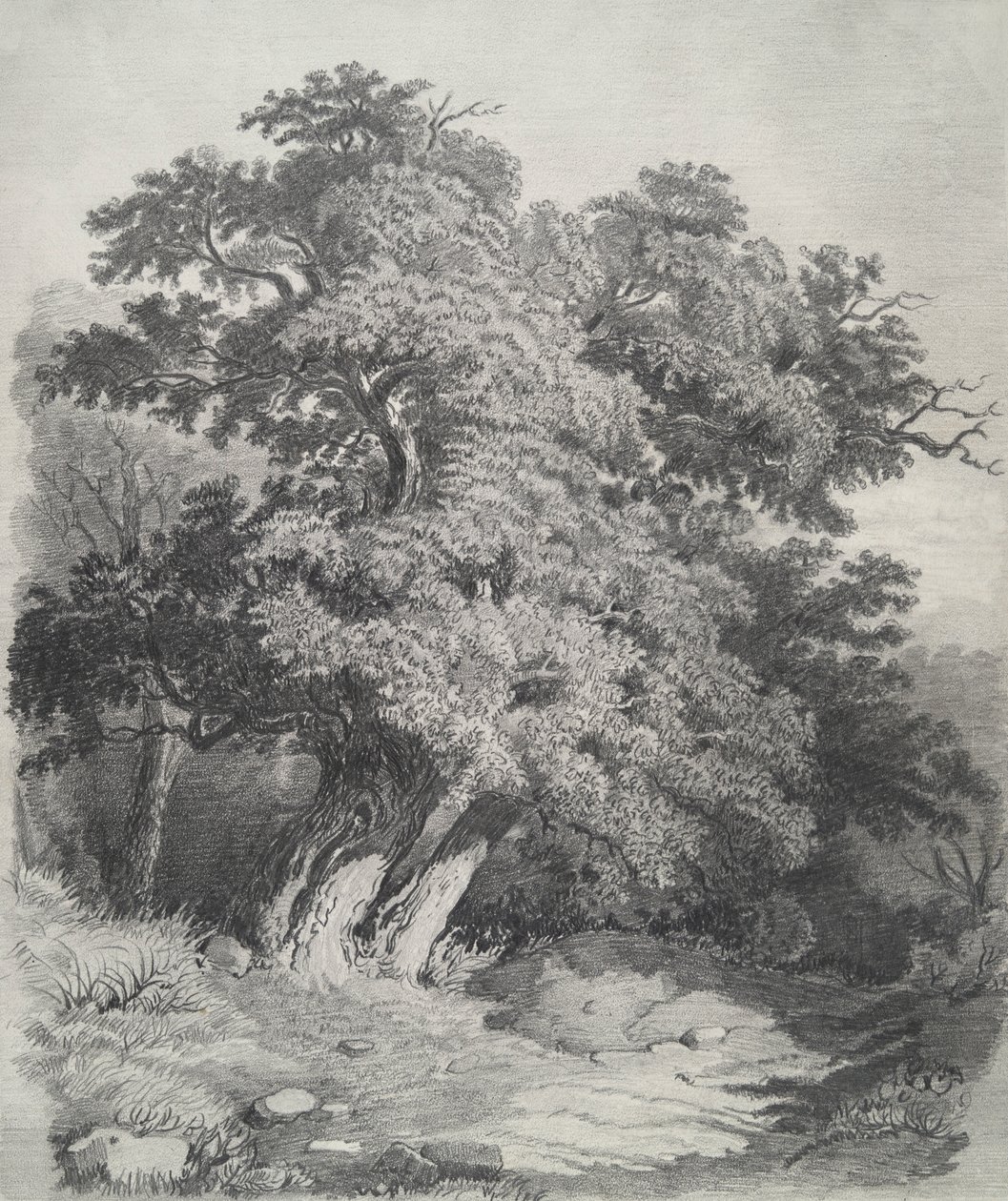 Ağaç Yığını by Unknown