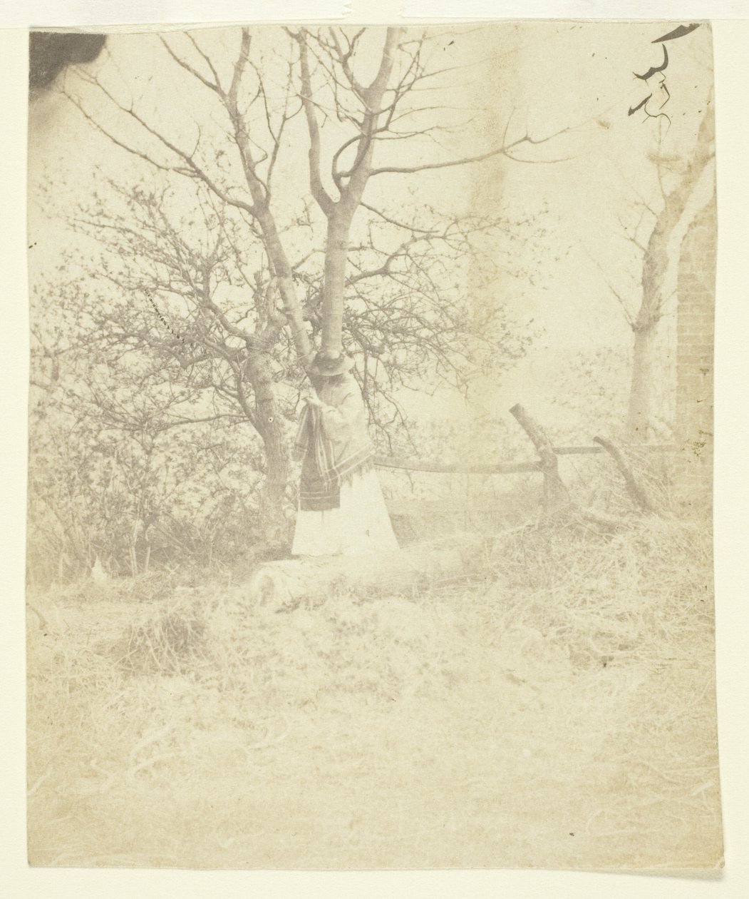 Bayan Craik by Unknown