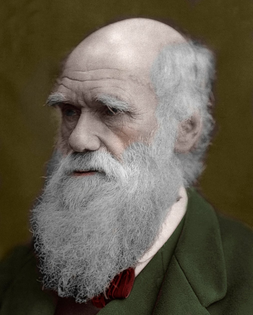 Charles Darwin