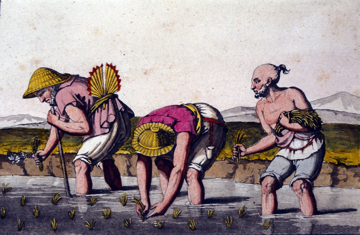 Çin