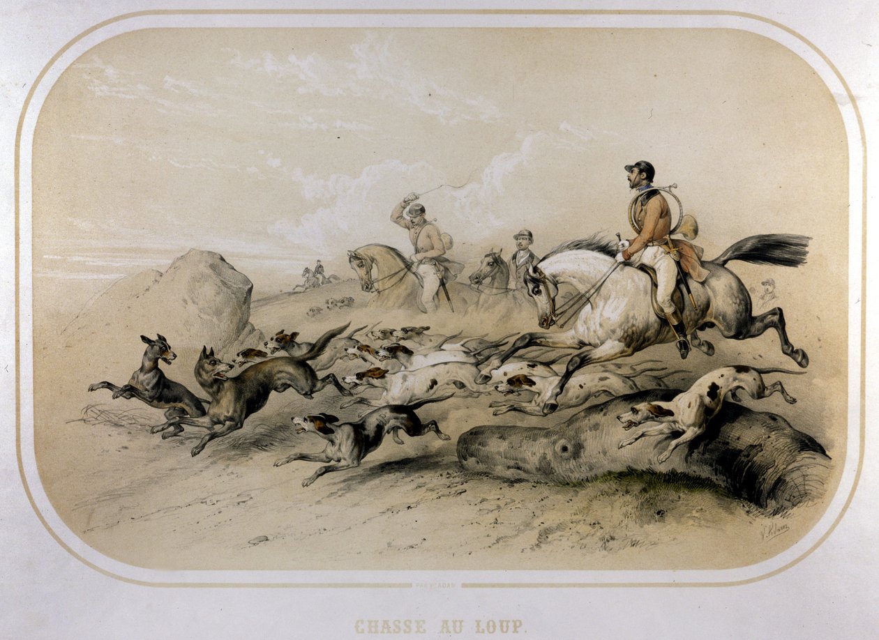 Kurt avı. 19. yüzyıl gravürü. by Unknown artist