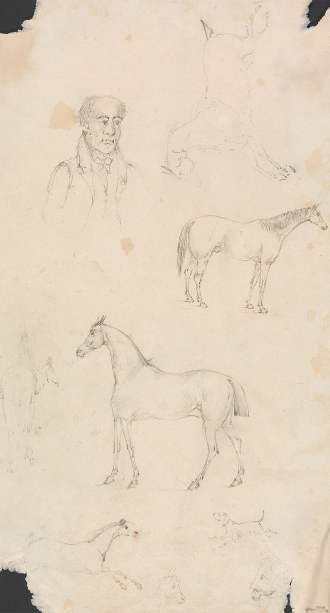 Adam, Atlar ve Köpekler by Unknown artist