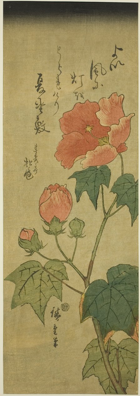 Ebegümeci by Utagawa Hiroshige