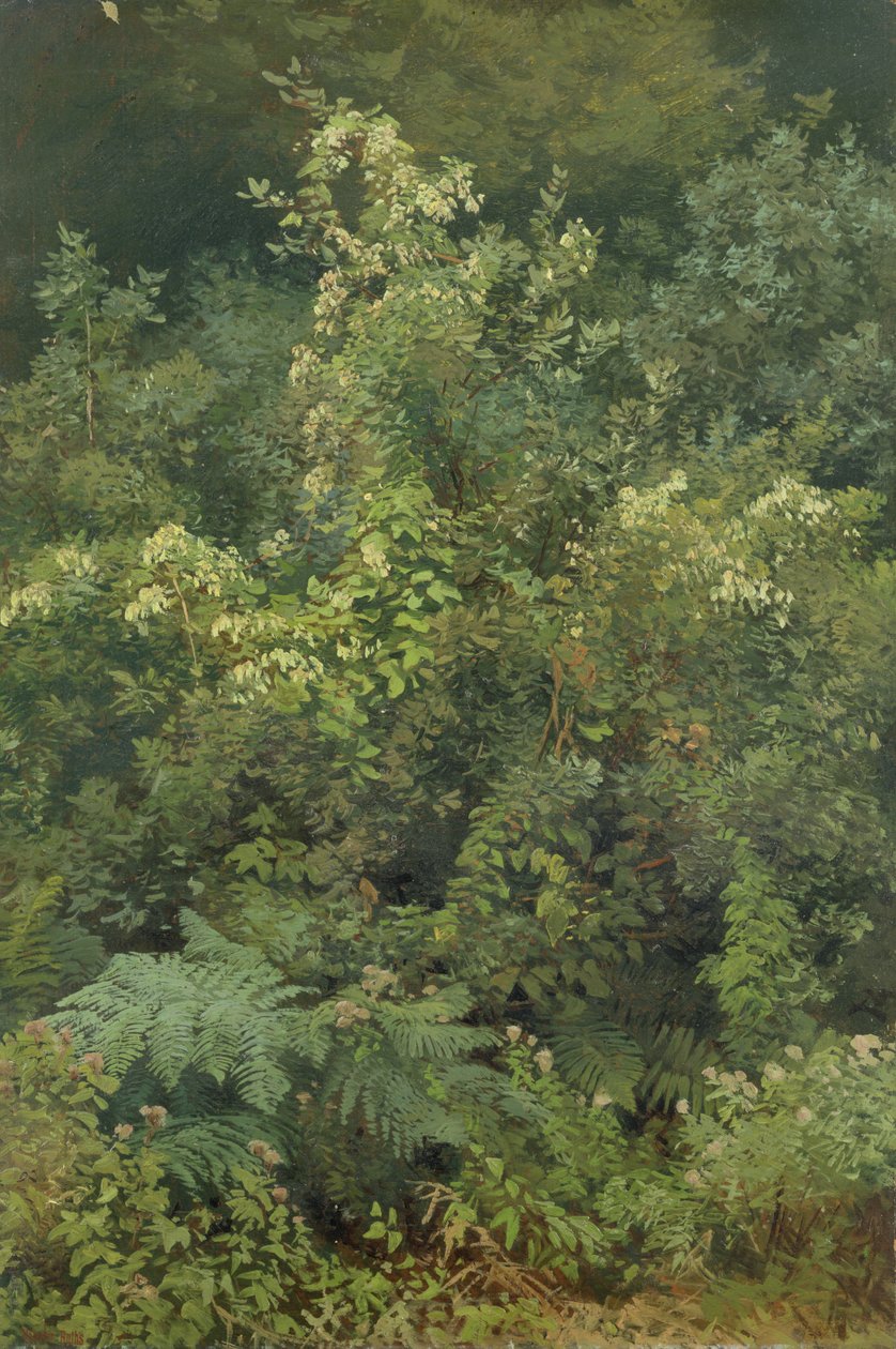 Woodland