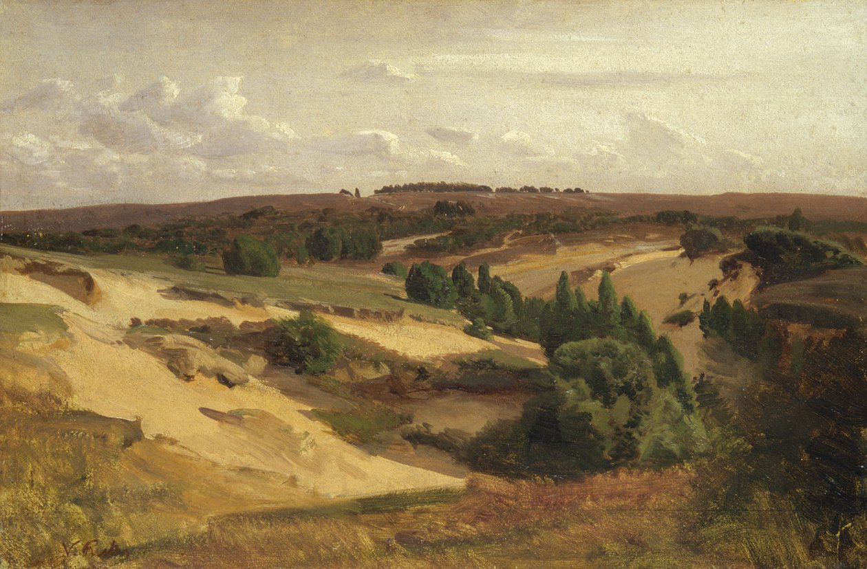 Bispingen yakınlarındaki funda, 1887 (tuval üzerine kağıt üzerine yağlı boya) by Valentin Ruths