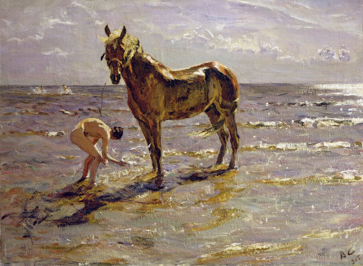 Bathing a Horse, 1905  by Valentin Aleksandrovich Serov