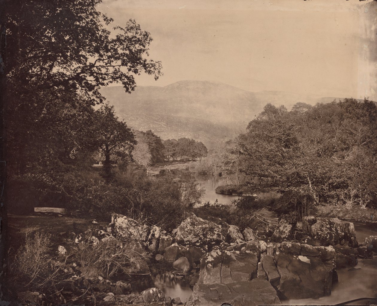 Çimenlerden görünüm, Dennicanniby, 1870