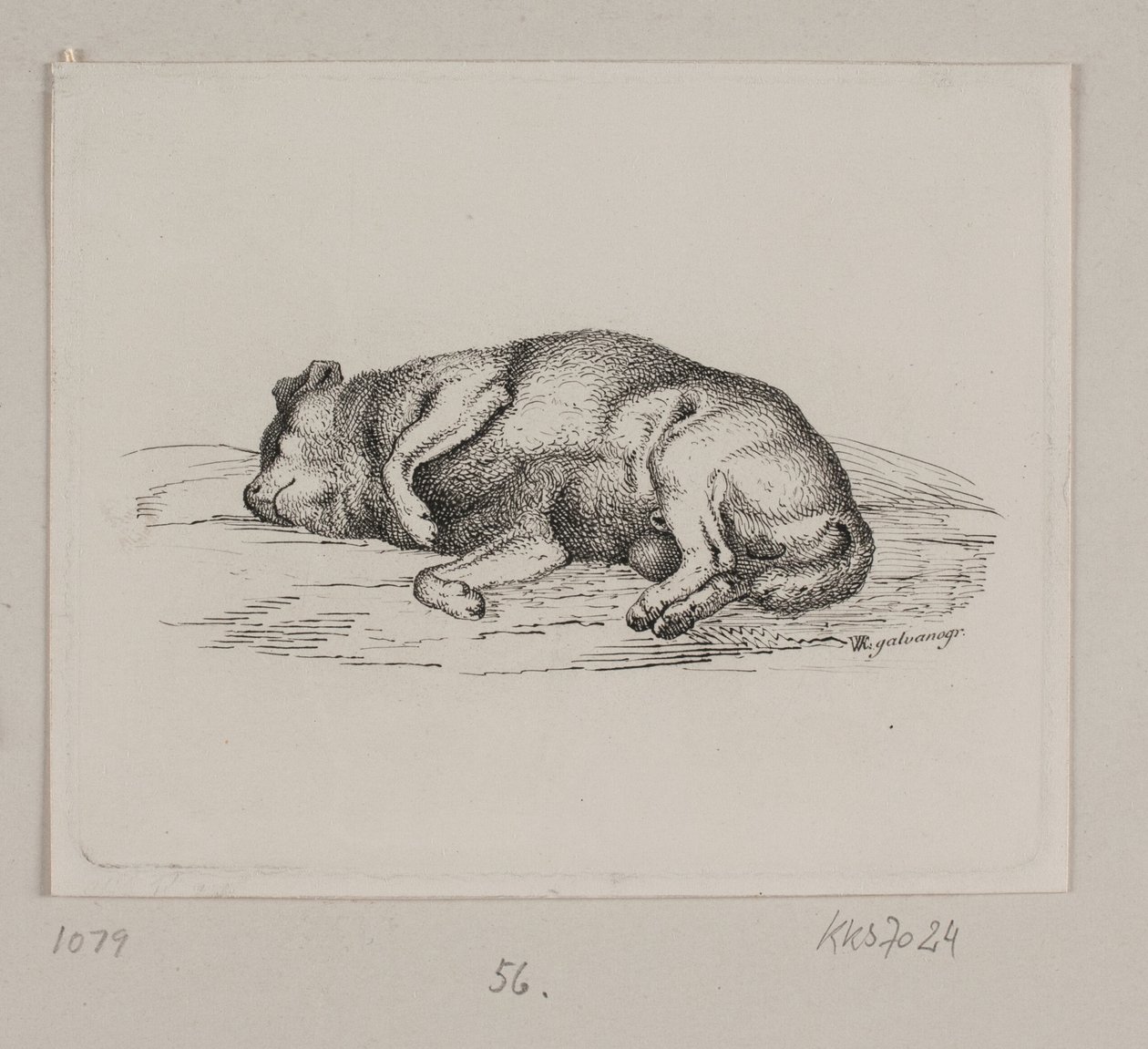 yalancı köpek by Vilhelm Kyhn